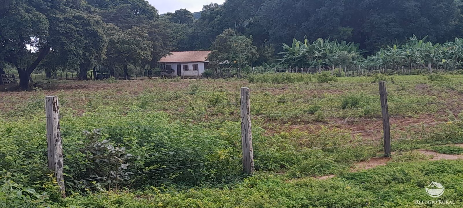 Fazenda de 1.161 ha em Peixe, TO