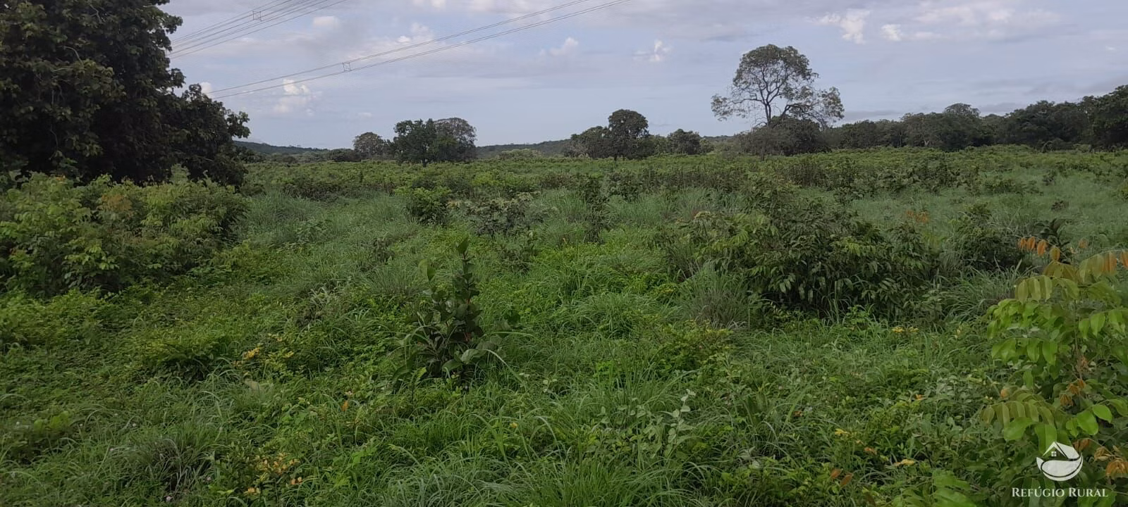 Fazenda de 1.161 ha em Peixe, TO
