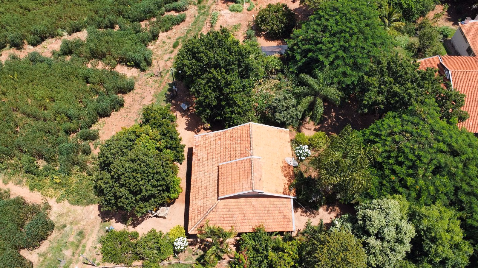 Small farm of 40 acres in Tupã, SP, Brazil
