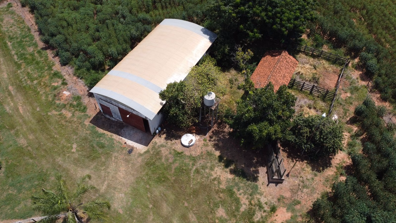 Small farm of 40 acres in Tupã, SP, Brazil