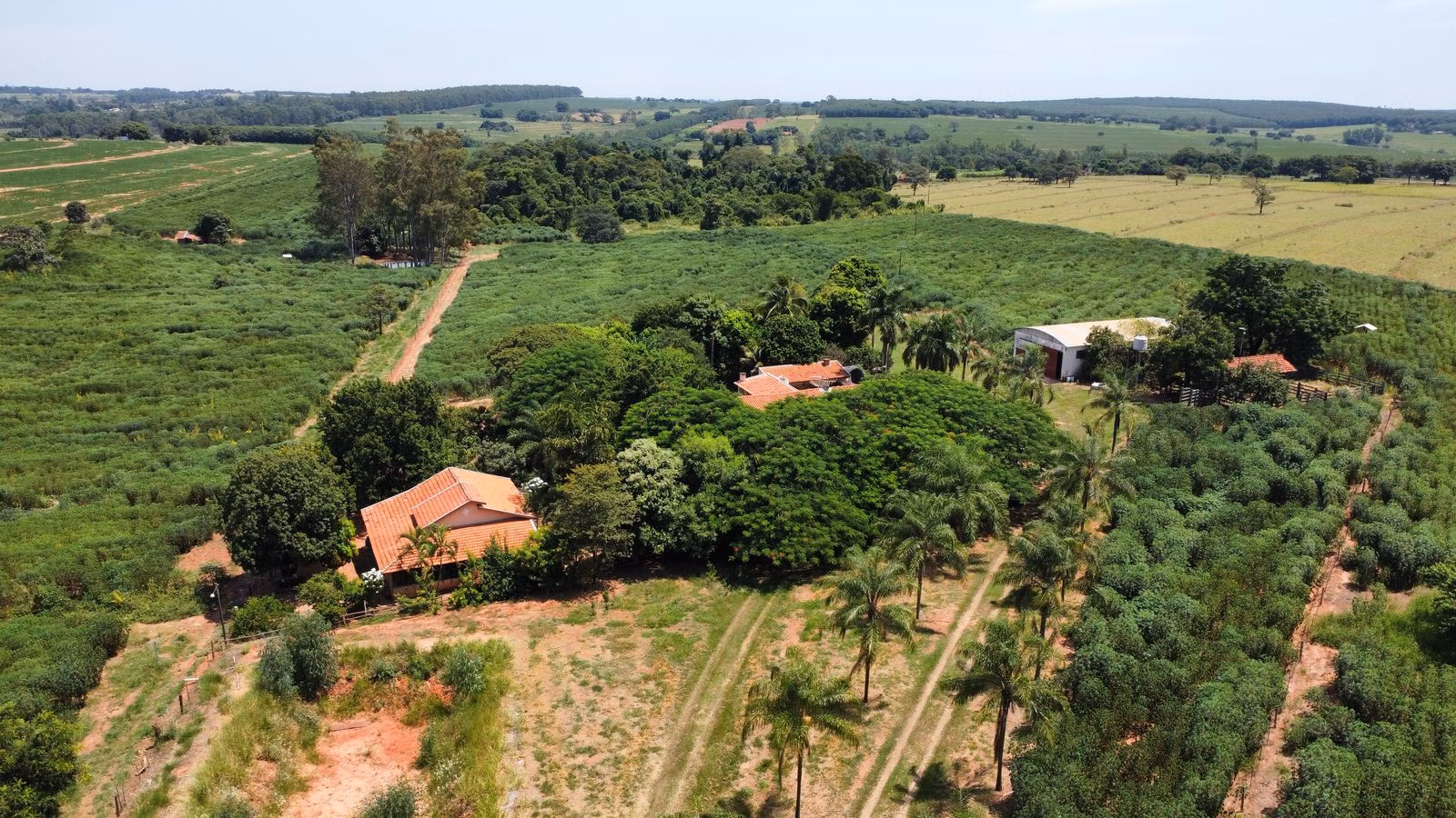 Small farm of 40 acres in Tupã, SP, Brazil