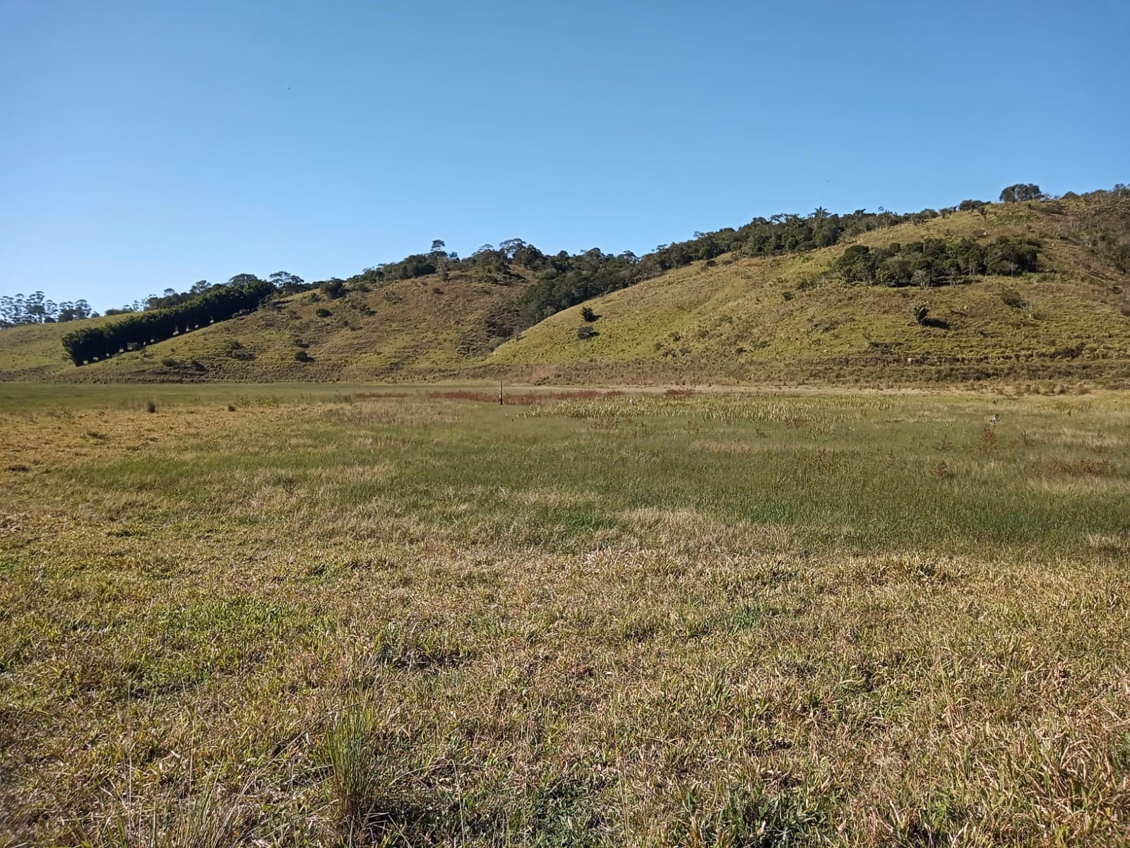 Sítio de 97 ha em Paraibuna, SP
