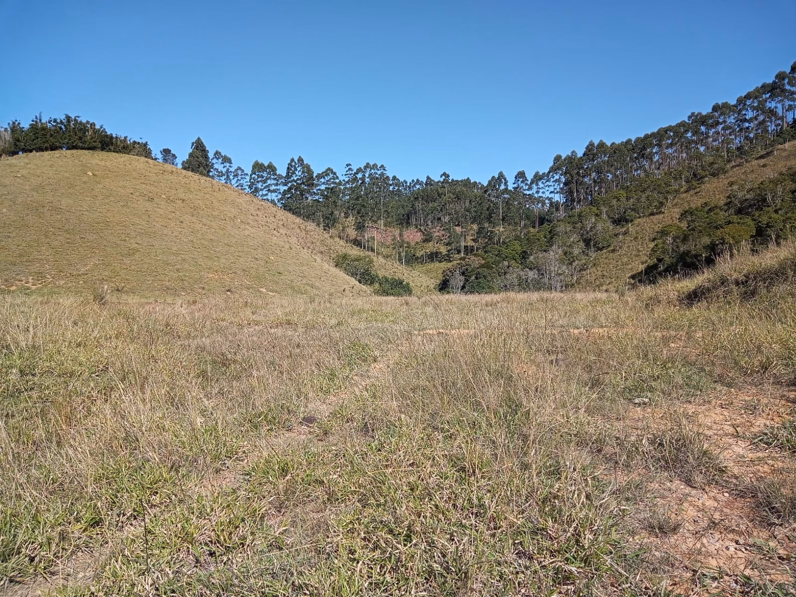 Sítio de 97 ha em Paraibuna, SP