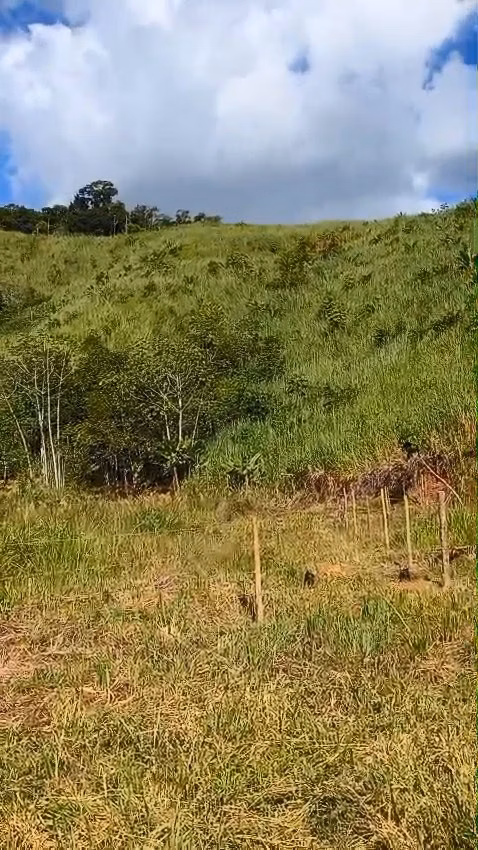 Small farm of 141 acres in Sorocaba, SP, Brazil