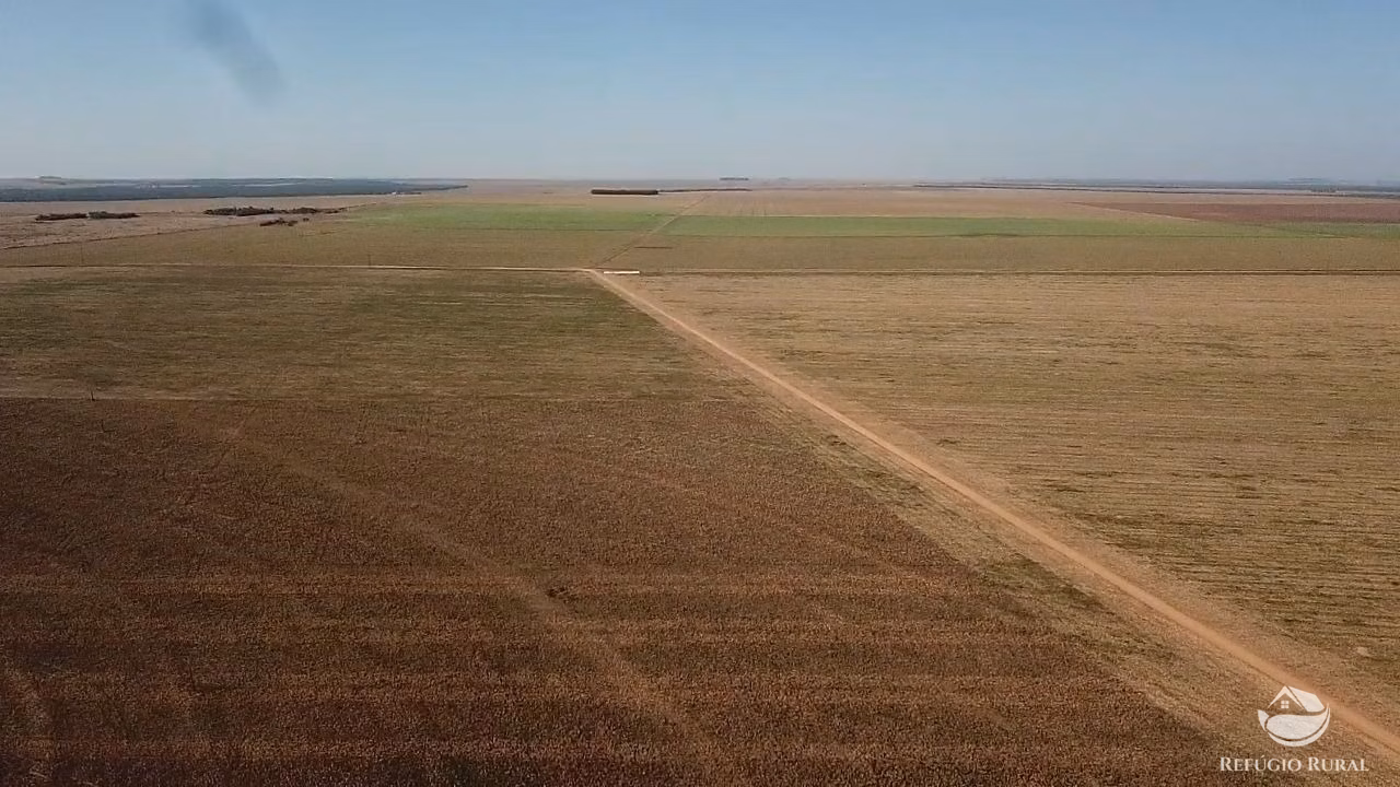 Fazenda de 5.000 ha em Campo Novo do Parecis, MT