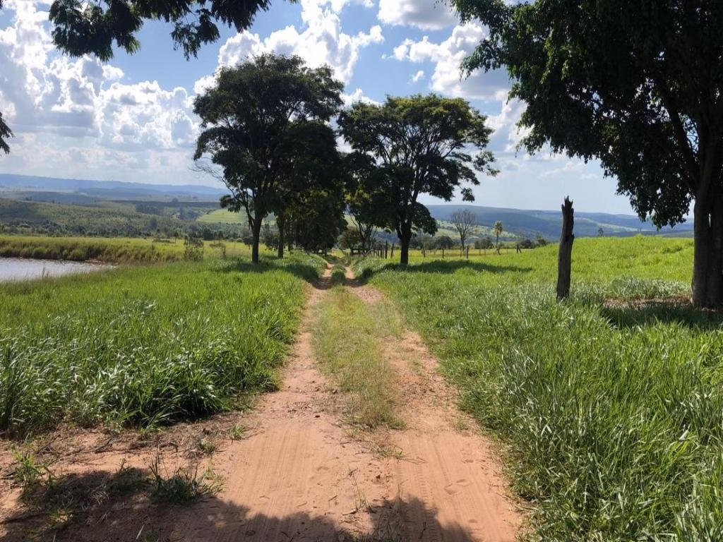 Fazenda de 235 ha em Botucatu, SP