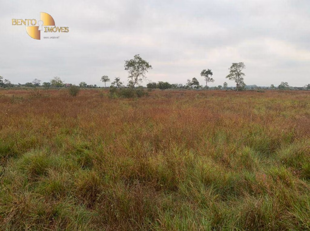 Fazenda de 265 ha em Jangada, MT