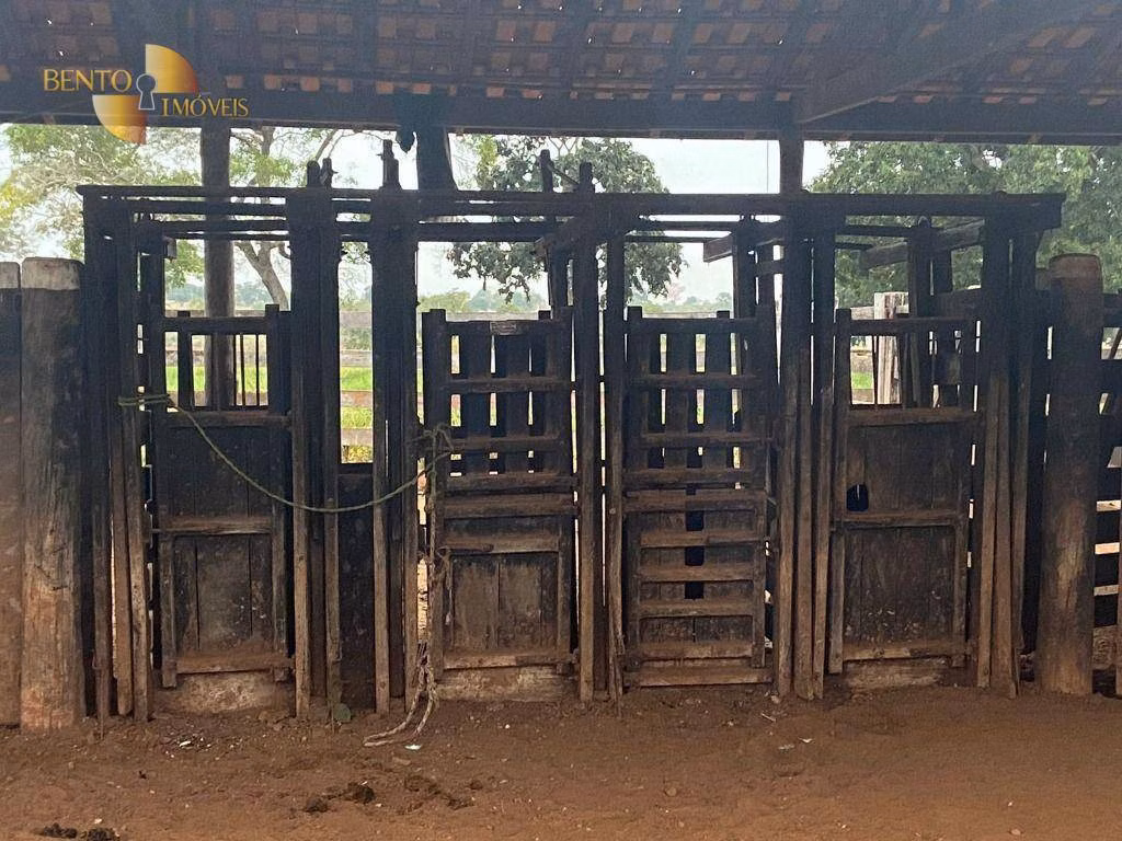 Fazenda de 265 ha em Jangada, MT