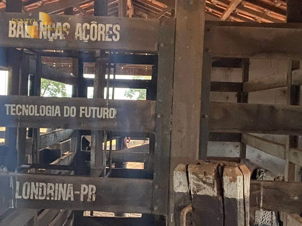 Fazenda de 265 ha em Jangada, MT