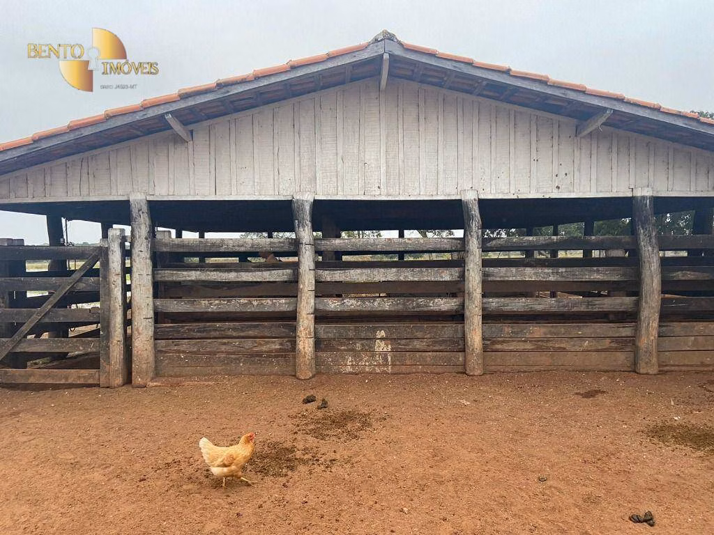 Fazenda de 265 ha em Jangada, MT