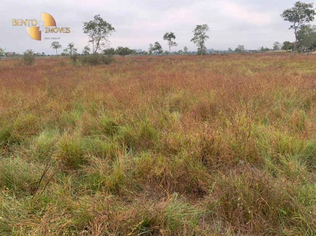 Fazenda de 265 ha em Jangada, MT