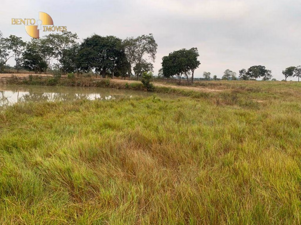 Fazenda de 265 ha em Jangada, MT