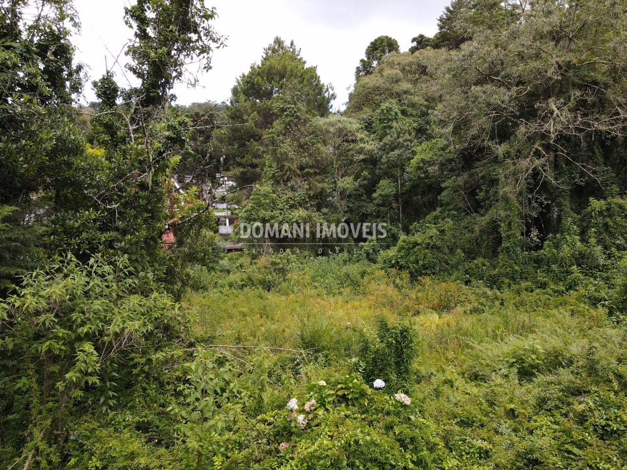 Terreno de 1.200 m² em Campos do Jordão, SP