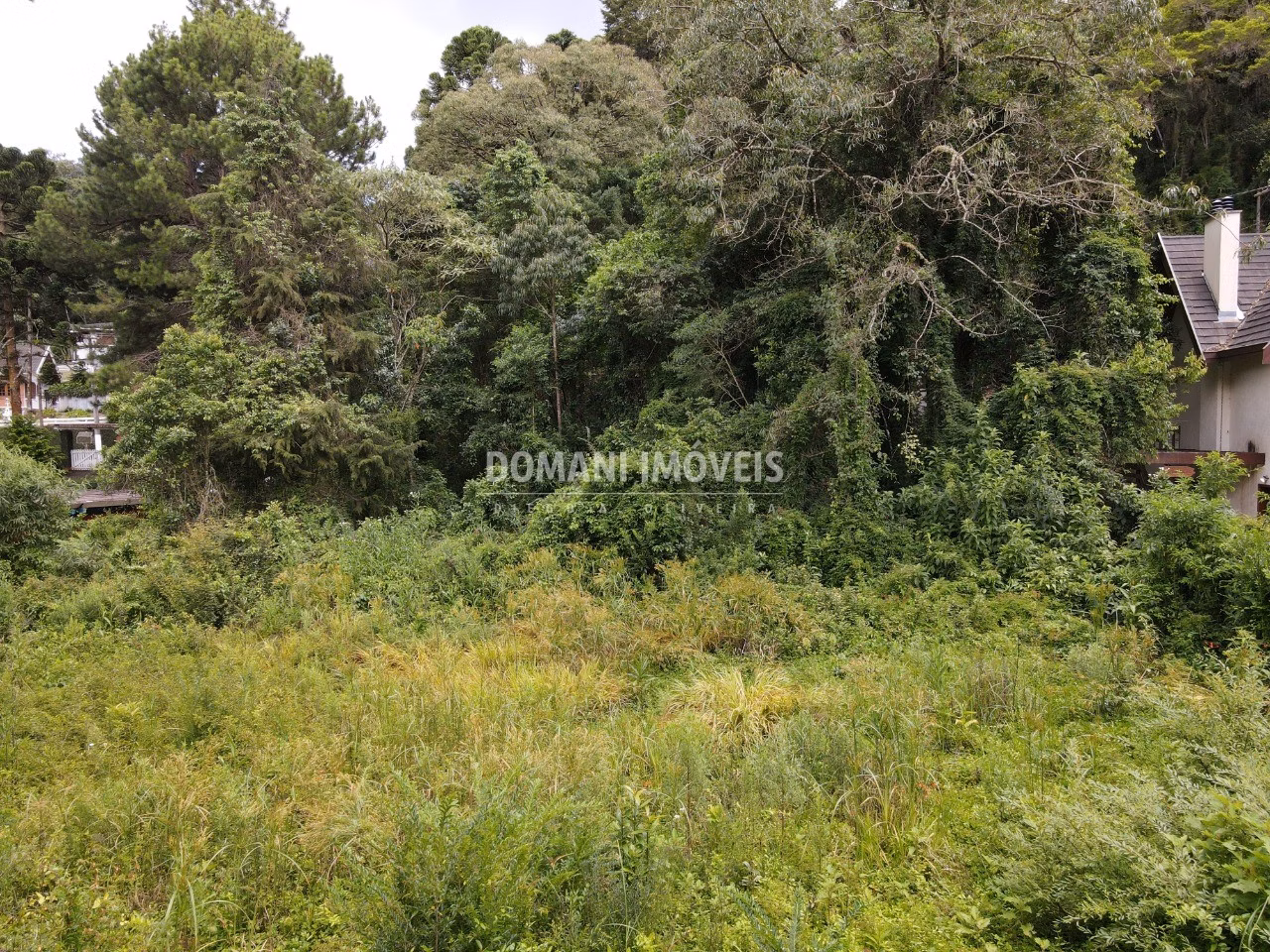 Terreno de 1.200 m² em Campos do Jordão, SP