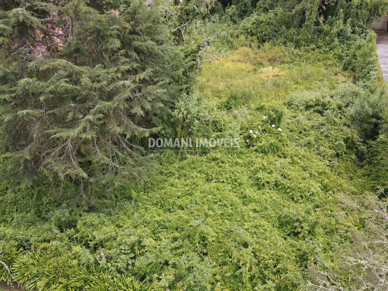 Terreno de 1.200 m² em Campos do Jordão, SP
