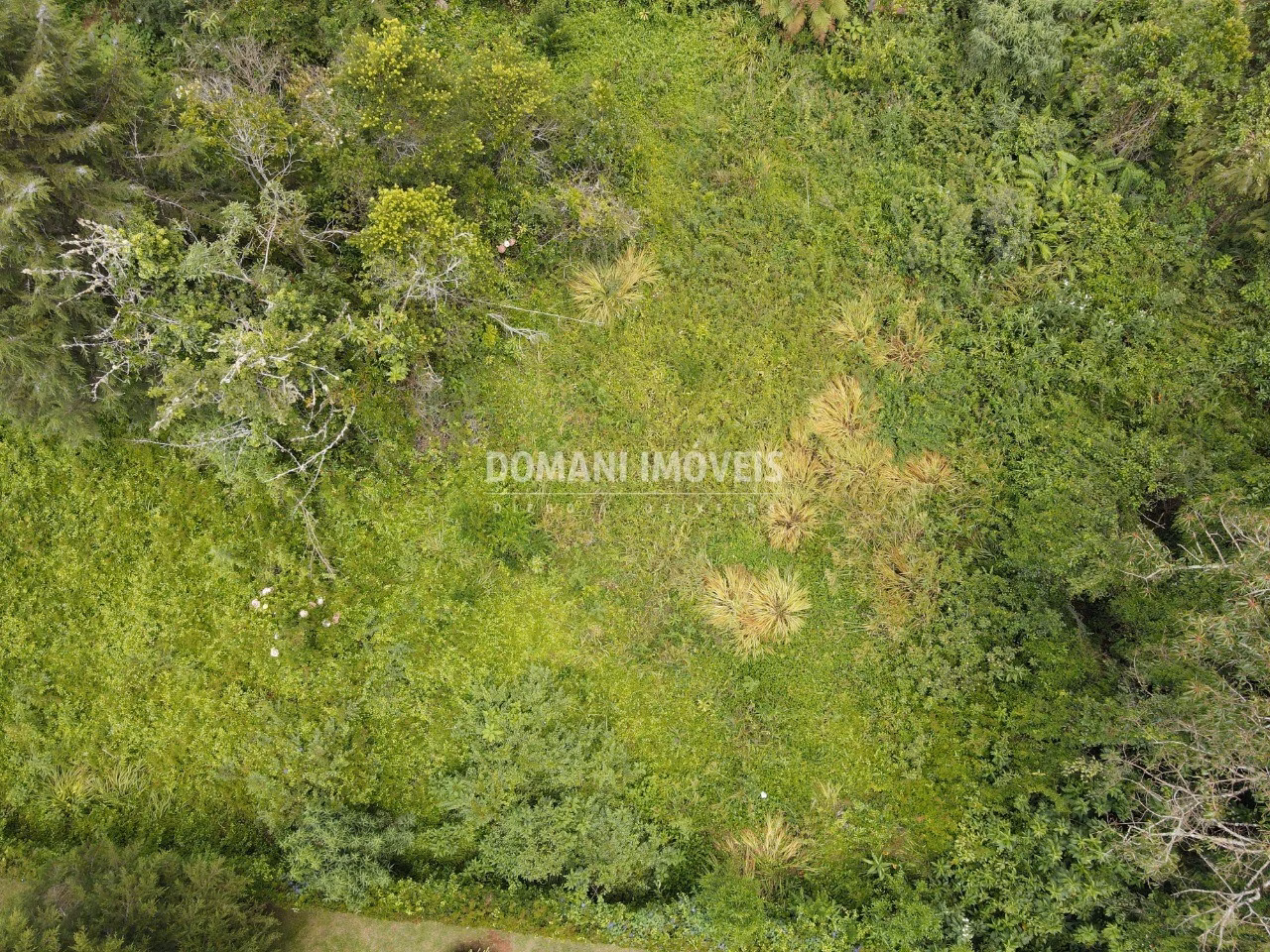 Terreno de 1.200 m² em Campos do Jordão, SP
