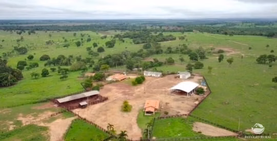 Fazenda de 950 ha em Grajaú, MA