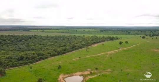 Fazenda de 950 ha em Grajaú, MA