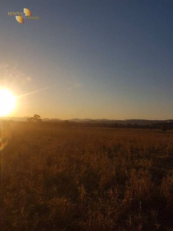 Farm of 9.884 acres in Santo Antônio de Leverger, MT, Brazil
