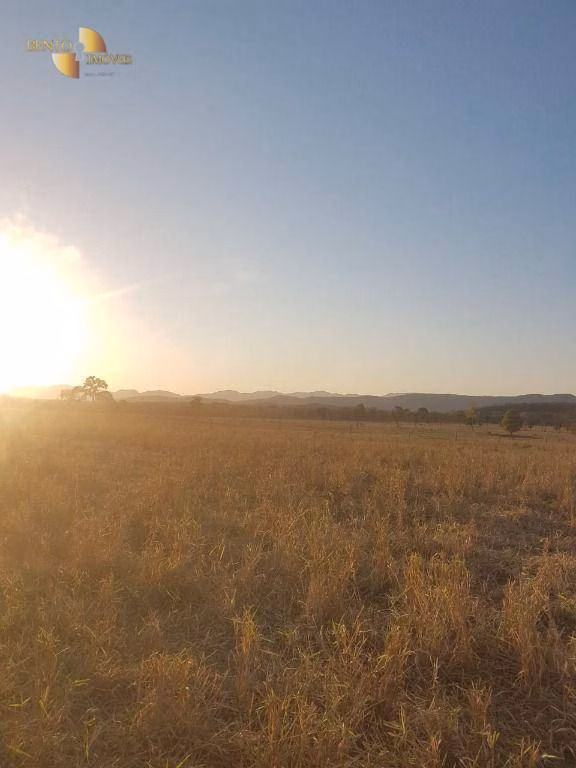 Farm of 9.884 acres in Santo Antônio de Leverger, MT, Brazil