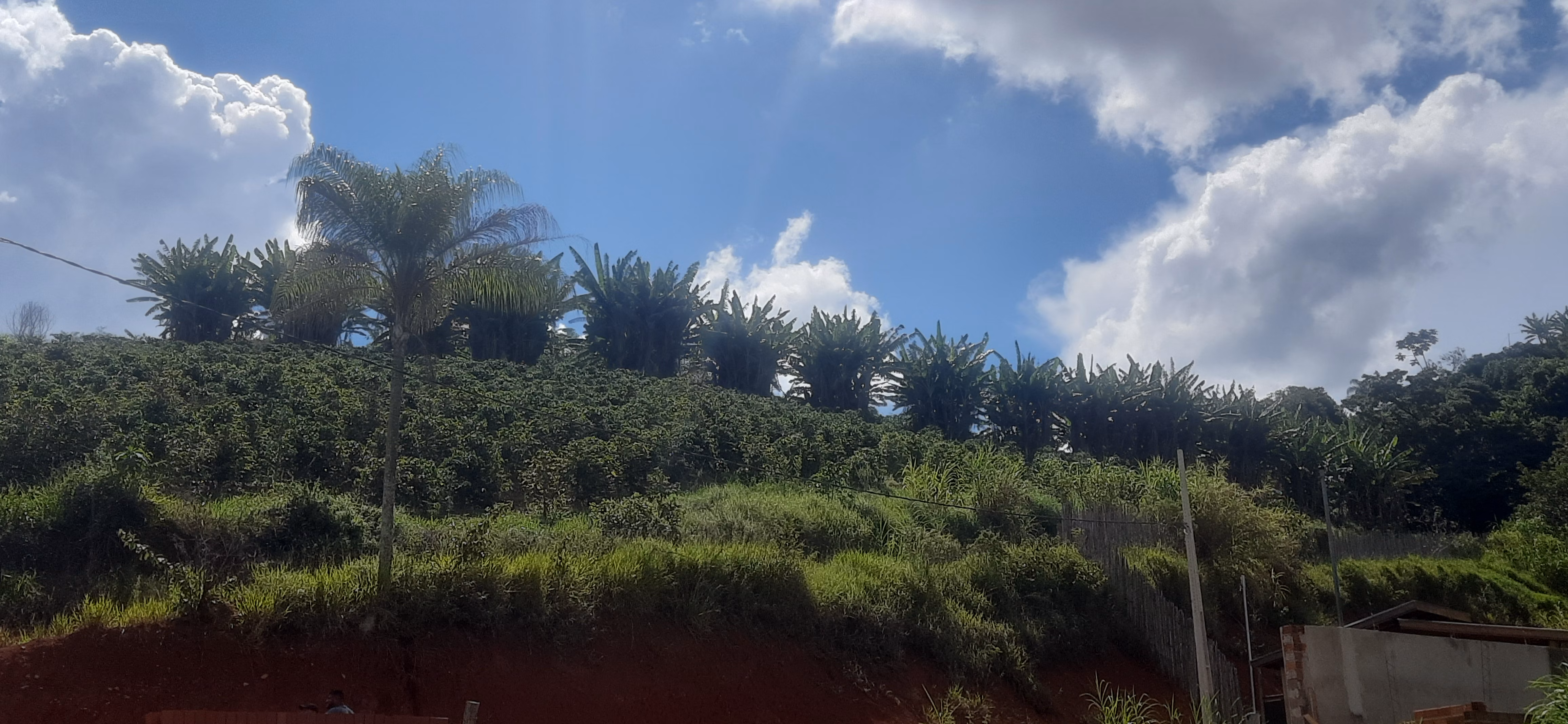Small farm of 7 acres in Guaxupé, MG, Brazil