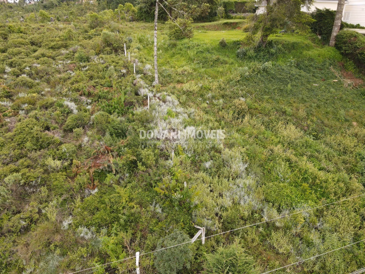 Plot of 1,010 m² in Campos do Jordão, SP, Brazil