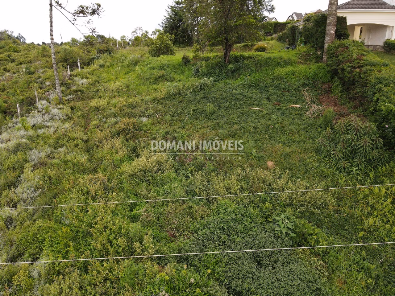 Plot of 1,010 m² in Campos do Jordão, SP, Brazil