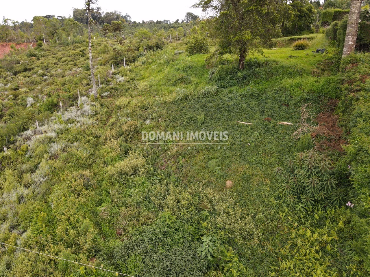 Plot of 1,010 m² in Campos do Jordão, SP, Brazil