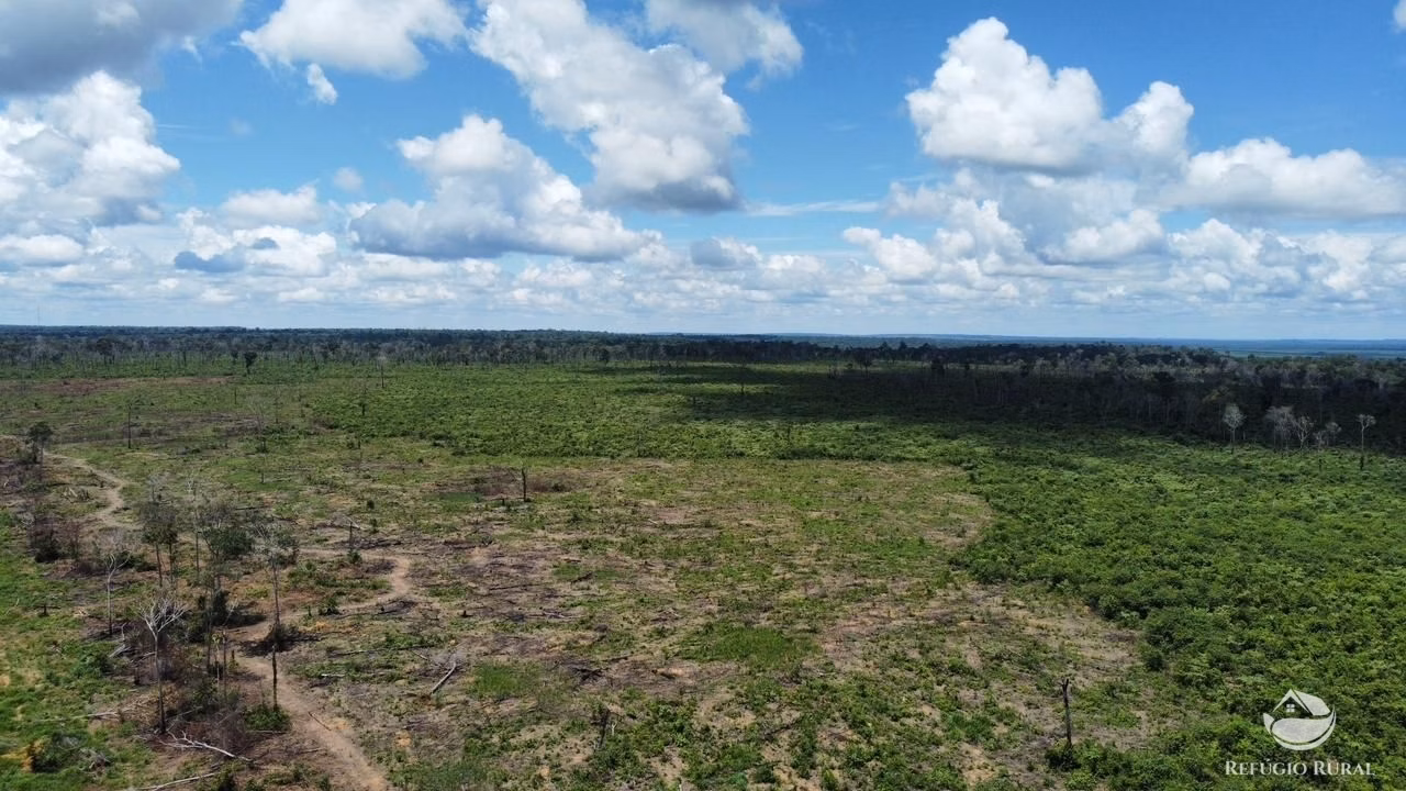 Fazenda de 242 ha em Nova Santa Helena, MT