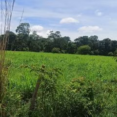 Farm of 2.595 acres in Formosa, GO, Brazil