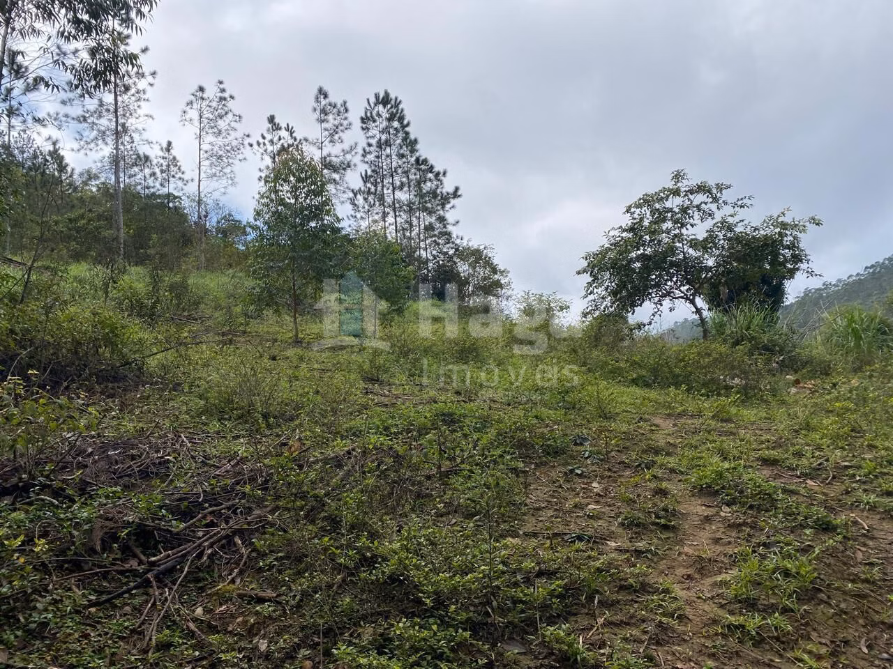 Plot of 17 acres in Nova Trento, SC, Brazil