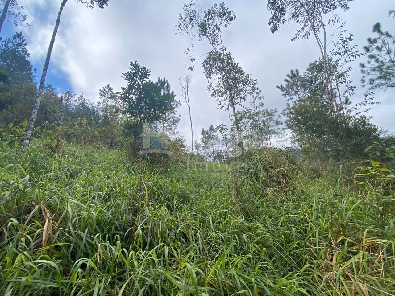 Plot of 17 acres in Nova Trento, SC, Brazil