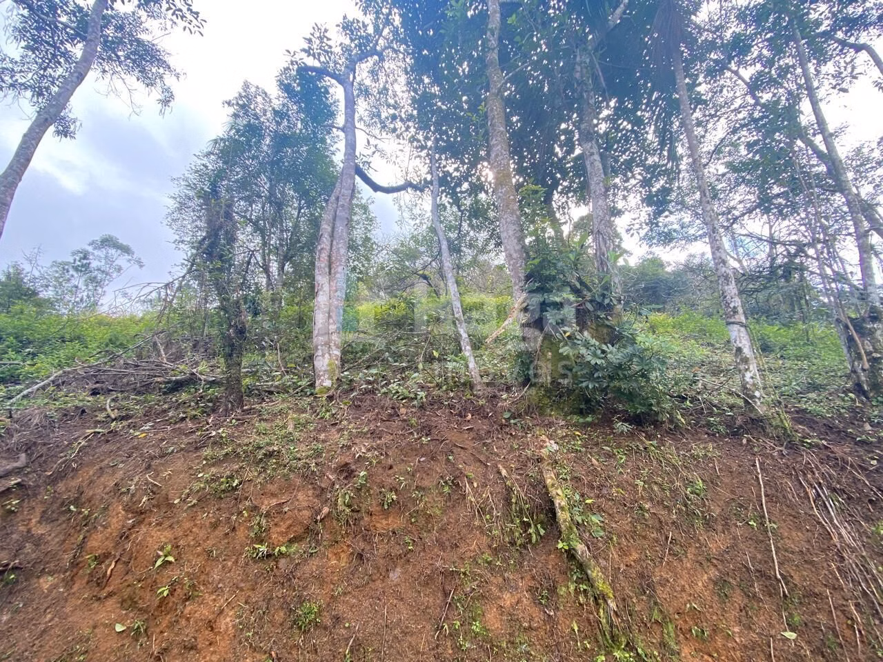 Terreno de 7 ha em Nova Trento, SC