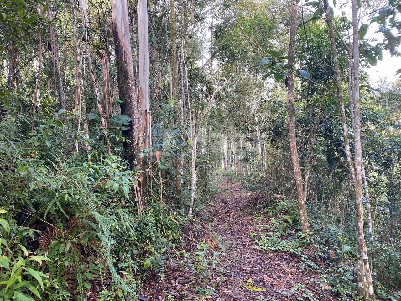 Terreno de 7 ha em Nova Trento, SC