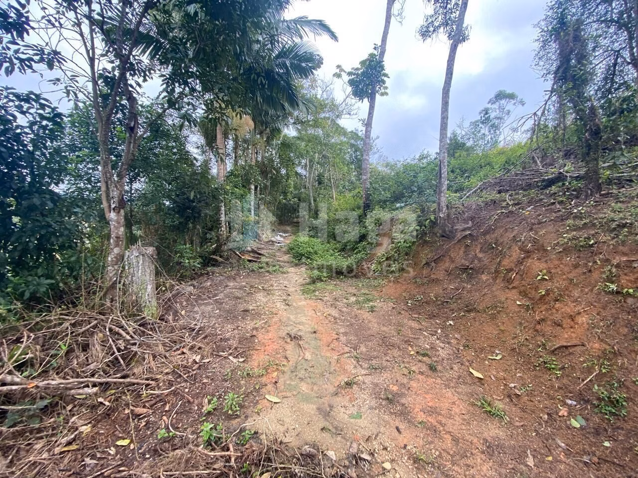 Terreno de 7 ha em Nova Trento, SC