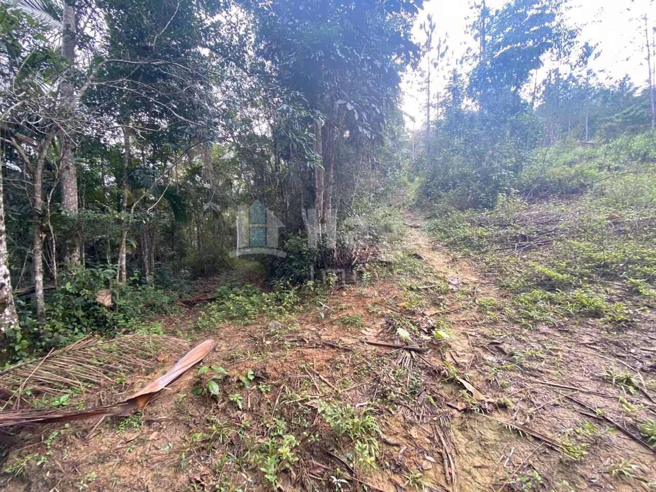 Terreno de 7 ha em Nova Trento, SC