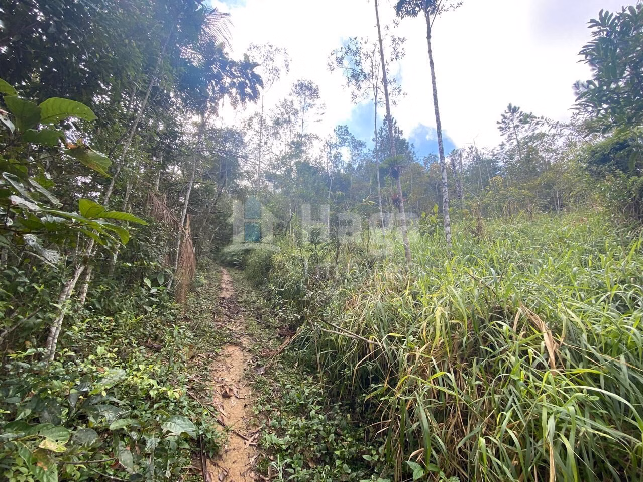 Plot of 17 acres in Nova Trento, SC, Brazil