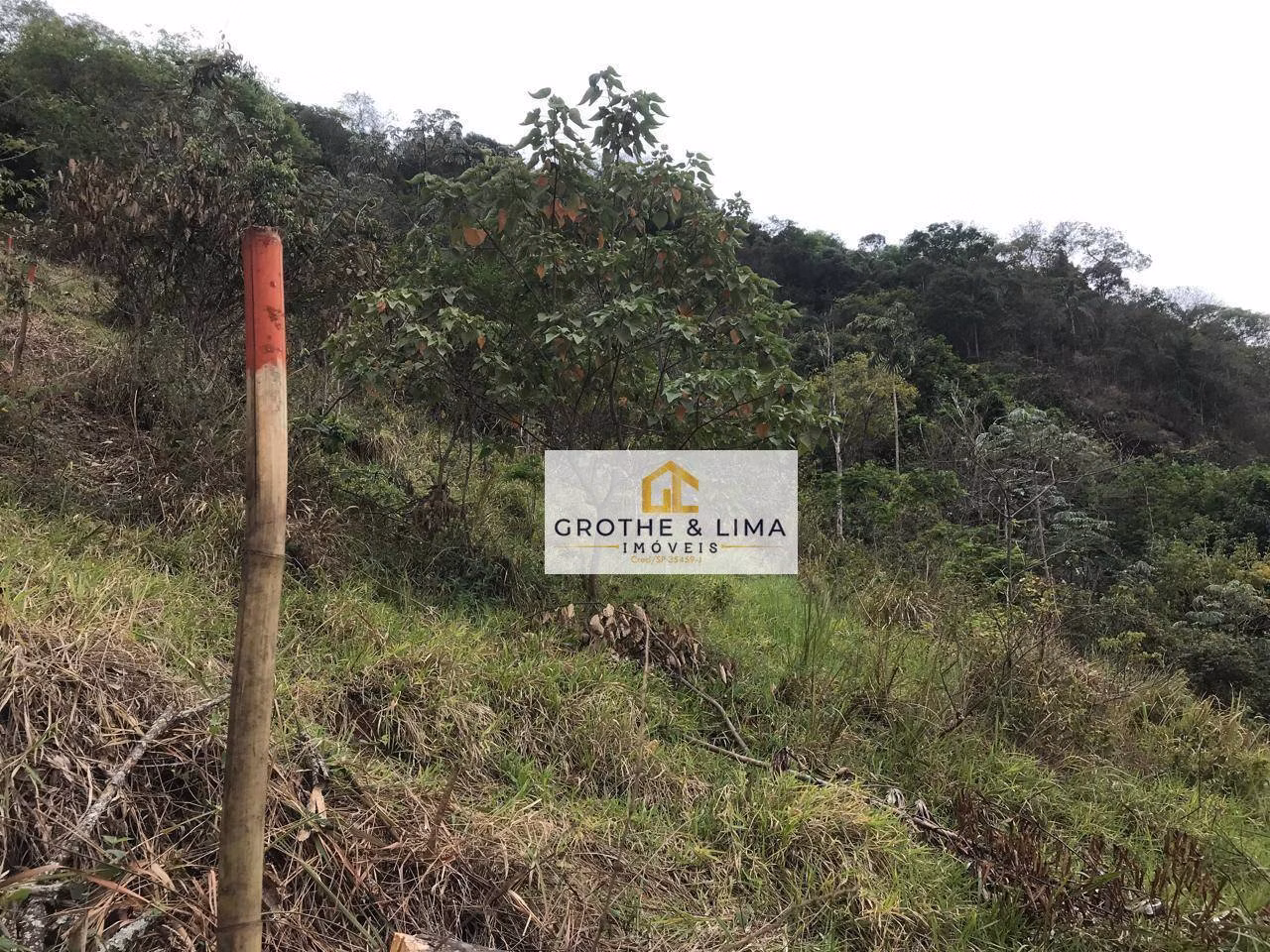 Terreno de 2 ha em Pindamonhangaba, SP