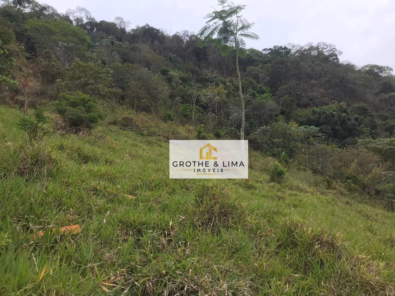 Terreno de 2 ha em Pindamonhangaba, SP