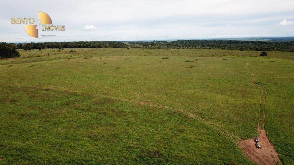 Fazenda de 484 ha em Juara, MT