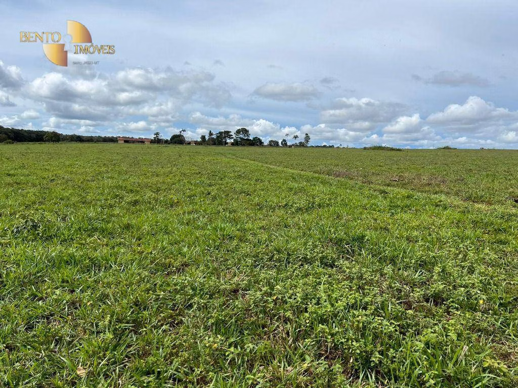 Fazenda de 484 ha em Juara, MT
