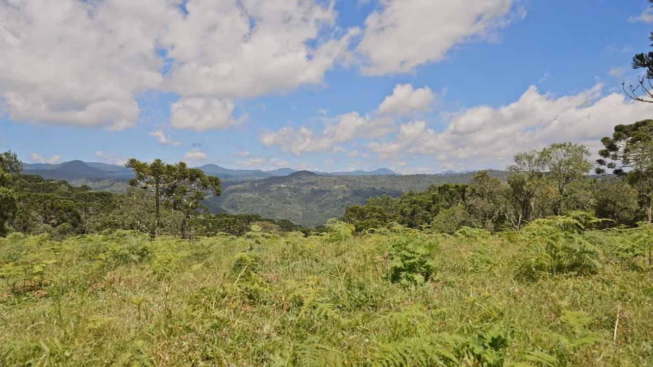 Sítio de 20 ha em Urubici, SC