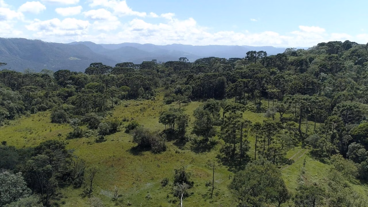 Small farm of 50 acres in Urubici, SC, Brazil