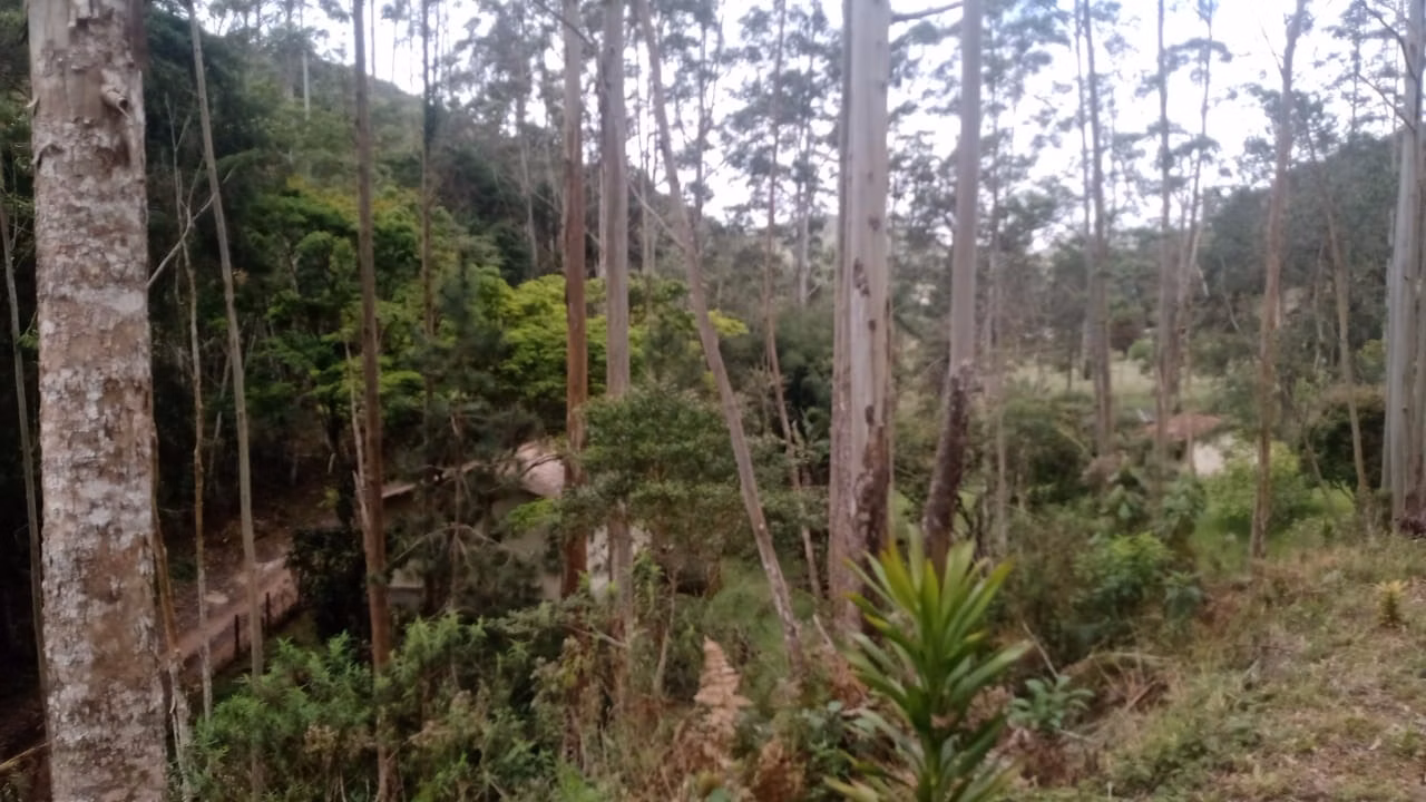 Sítio de 7 ha em Natividade da Serra, SP