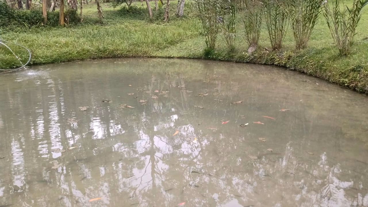 Sítio de 7 ha em Natividade da Serra, SP