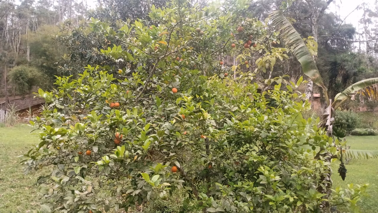 Sítio de 7 ha em Natividade da Serra, SP