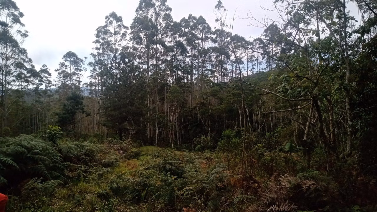 Sítio de 7 ha em Natividade da Serra, SP