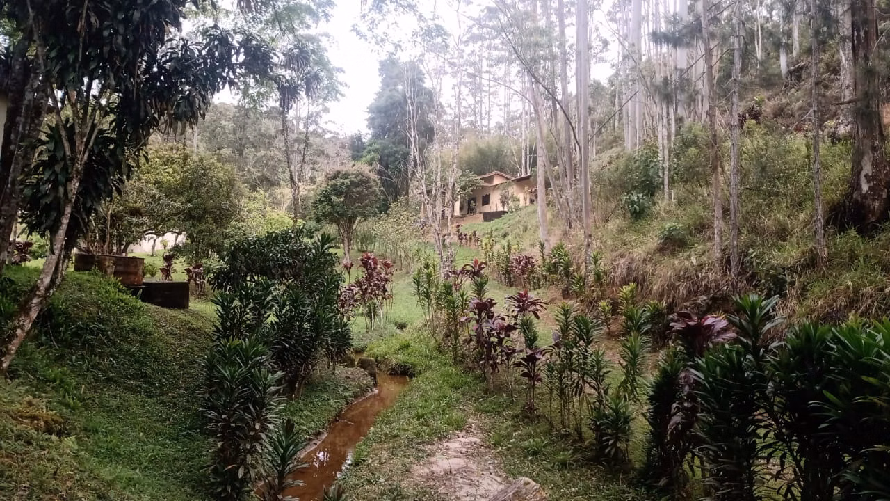 Sítio de 7 ha em Natividade da Serra, SP