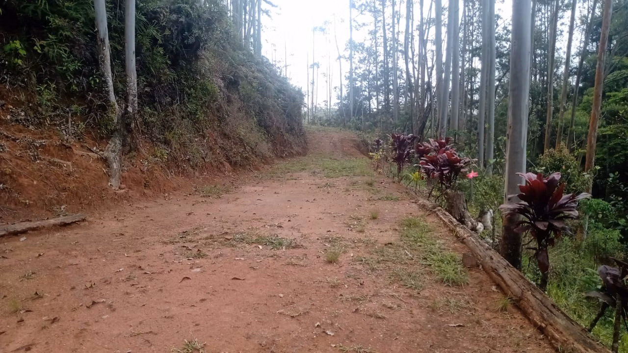 Sítio de 7 ha em Natividade da Serra, SP