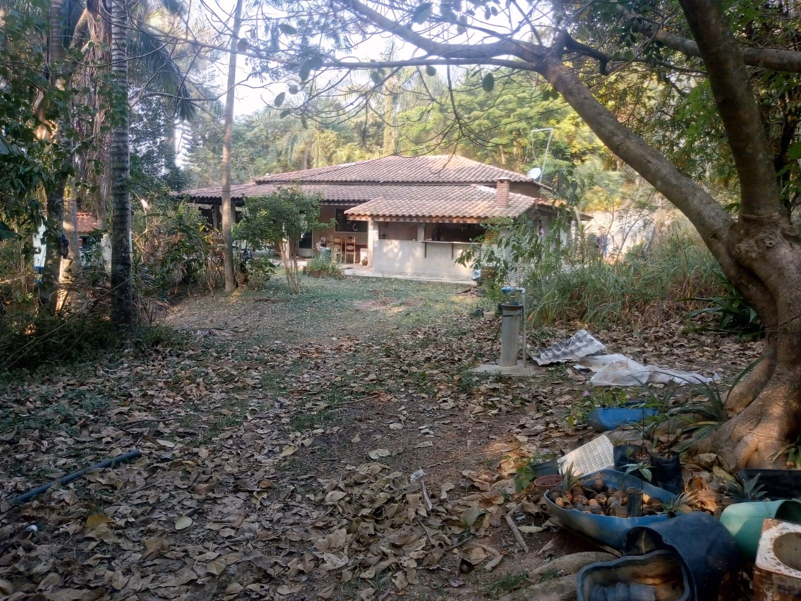 Sítio de 4 ha em Amparo, SP